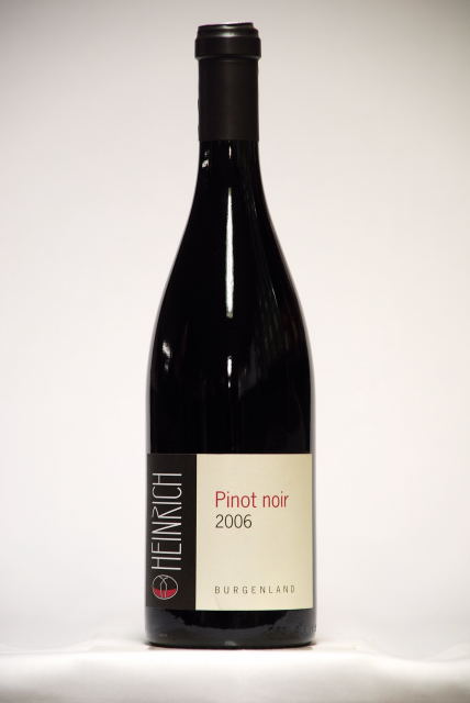 Bild von Pinot Noir Leithakalk Bio